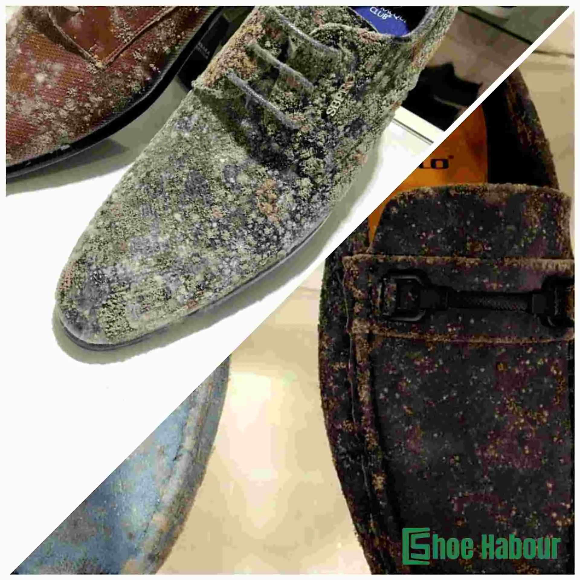 Shoes with mold