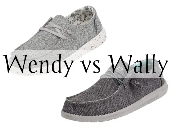 Hey Dude Wally vs Wendy