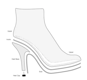 Anatomy of a woman's shoe